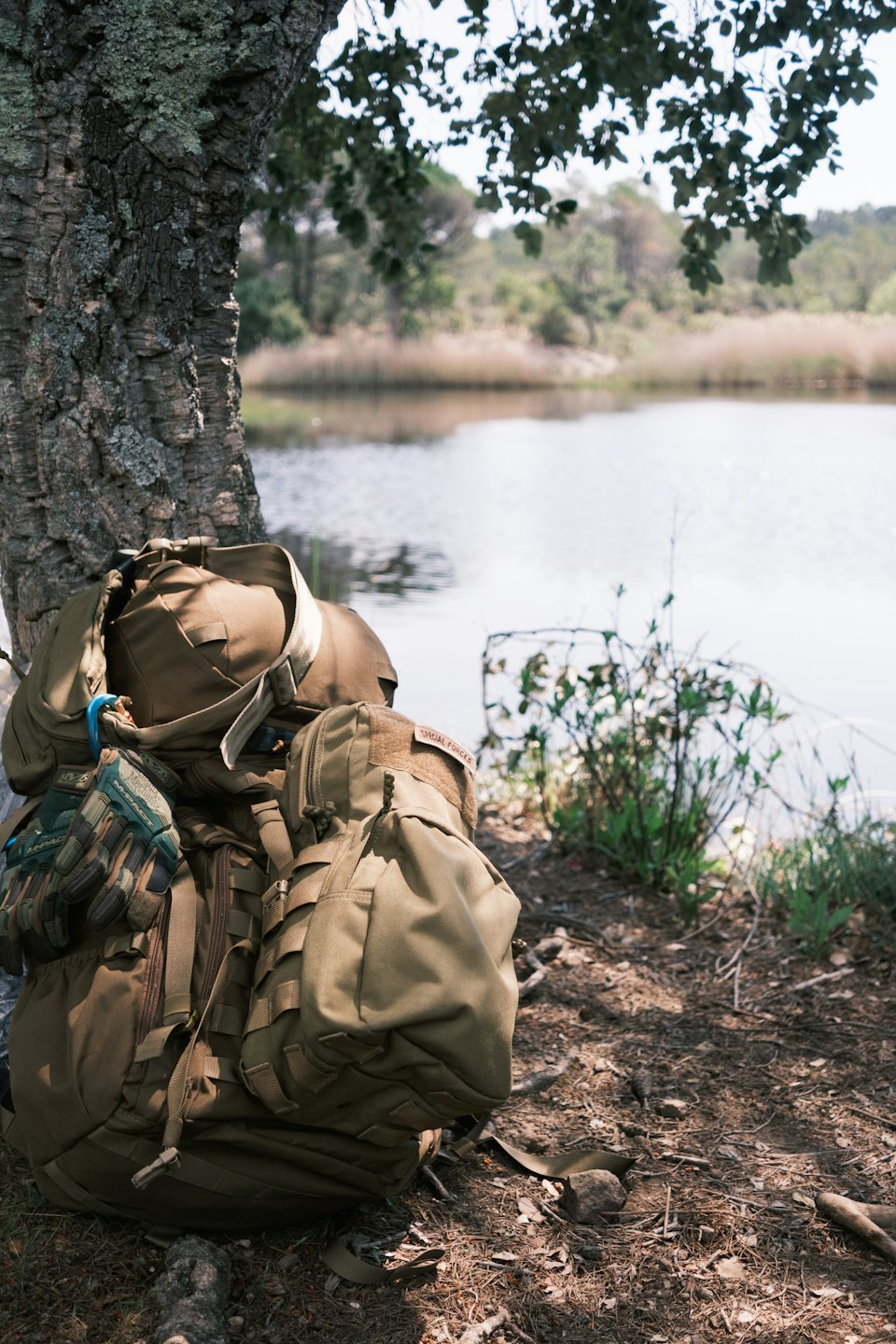 Ein khakifarbener taktischer Rucksack und Handschuhe lehnen an einem Baum an einem See.